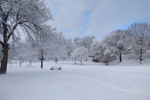 Madison winter